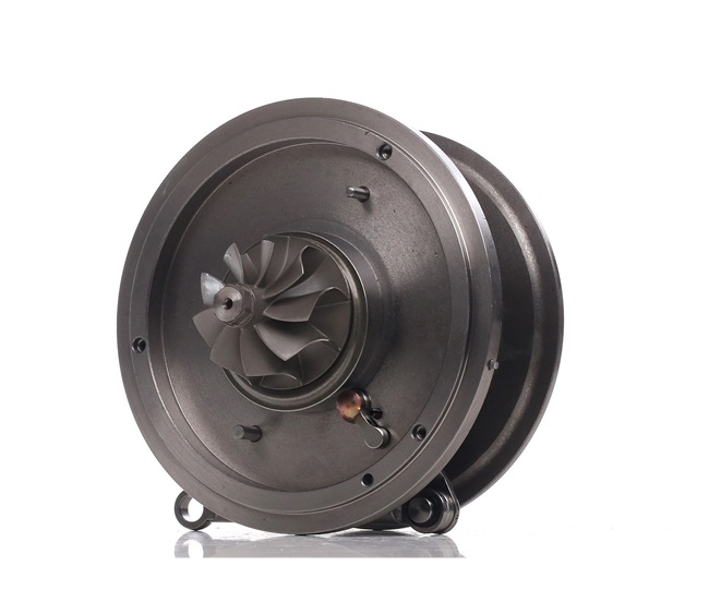 RIDEX 4973C0136 Turbinos kartridžas FORD Transit Custom V362 Van (FY, FZ) 100 AG dyzelinas kaina