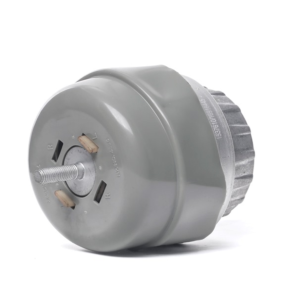 RIDEX 247E0744: Soporte de motor izquierda