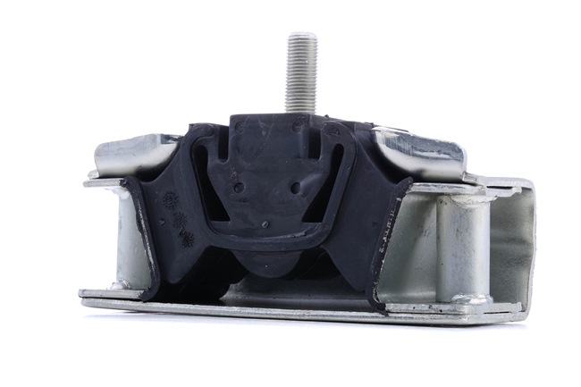 RIDEX 247E0748 Motorlager FIAT DUCATO Bus (230) 128 PS Diesel Kosten