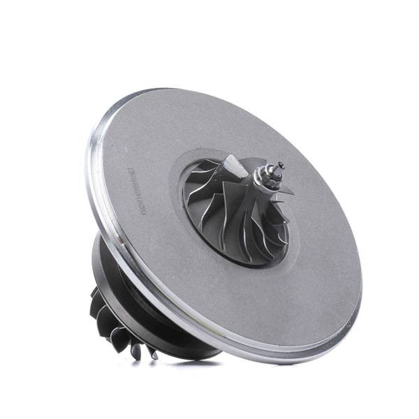 RIDEX 4973C0162 Turbinos kartridžas FIAT Scudo Universalas (220_) 92 AG dyzelinas kaina