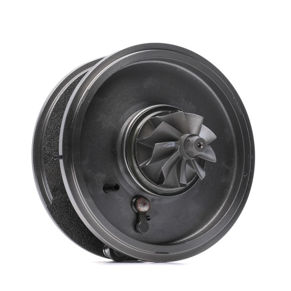 RIDEX 4973C0165: Rumpfgruppe, Lader