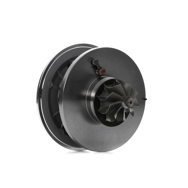 RIDEX 4973C0169 Coreassy turbina JAGUAR X-Type Sedan (X400) 130 CV Diesel costo