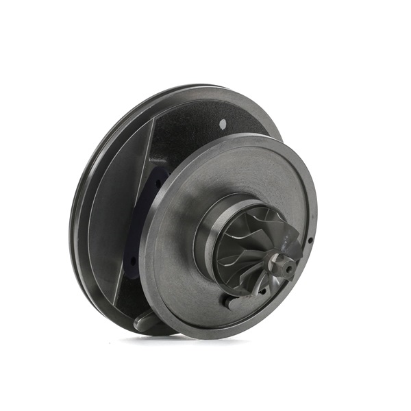RIDEX 4973C0180 Turbinos kartridžas RENAULT SCENIC 2 (JM0/1) 106 AG dyzelinas kaina