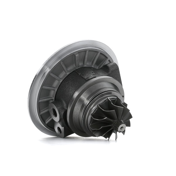 RIDEX 4973C0192: Conjunto piezas turbocompresor