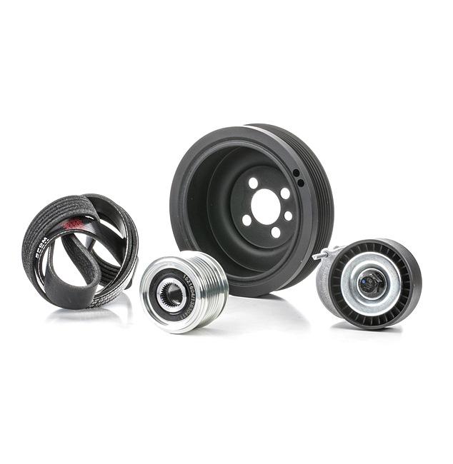 RIDEX 542R0708 Keilrippenriemensatz VW Passat Variant (3C5) 170 PS Diesel Kosten