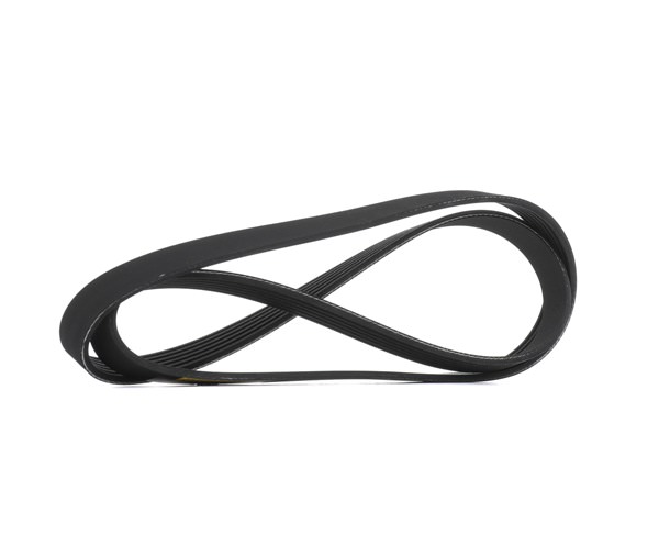 RIDEX 305P0556: Multireim 1345mm, Ribbeantall: 6