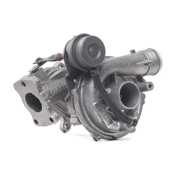 RIDEX REMAN 2234C10206R: Turbó tömítéskészlettel
