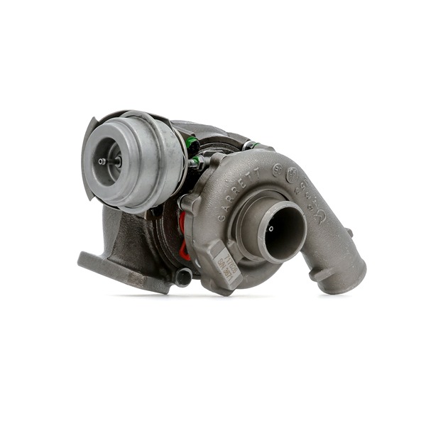 RIDEX REMAN 2234C0377R: Turbolader mit Dichtungen