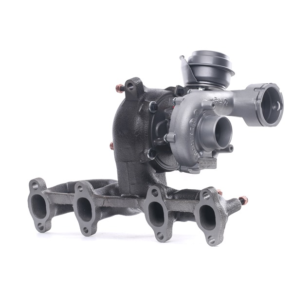 RIDEX REMAN 2234C10117R: Turboaggregat med packningar