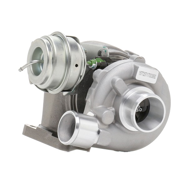 RIDEX 2234C10689: Turbocharger Met pakkingen