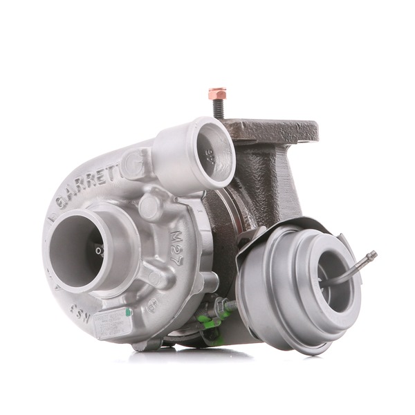 RIDEX REMAN 2234C10689R: Turbocharger Met pakkingen