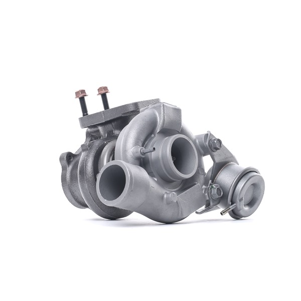 RIDEX REMAN 2234C10528R Turbocharger IVECO DAILY 3 125 Pk Diesel kosten