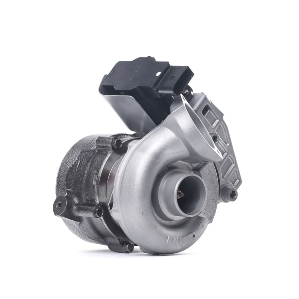 RIDEX REMAN 2234C0172R: Turbolader inkl. Dichtungssatz