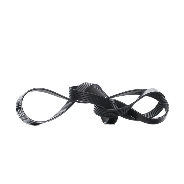 BOSCH 1 987 945 985: Courroie Poly-V 1640mm, Nombre de gorges: 6