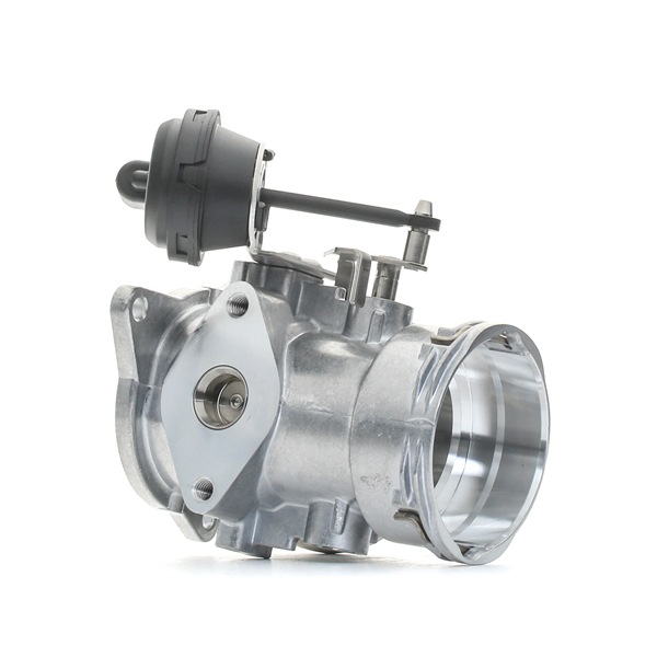 WAHLER 7371D/1: AGR-Ventil mit Dichtungen