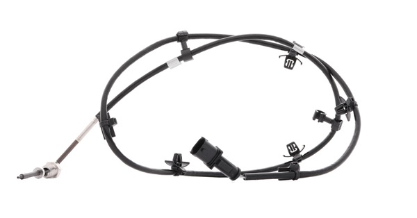 DELPHI TS30238: Abgastemperatursensor