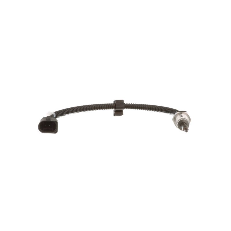 DELPHI TS30258: Abgastemperatursensor