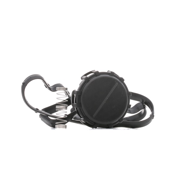 DR.MOTOR AUTOMOTIVE DRM16904R: Juego de juntas, tapa de culata de cilindro con junta