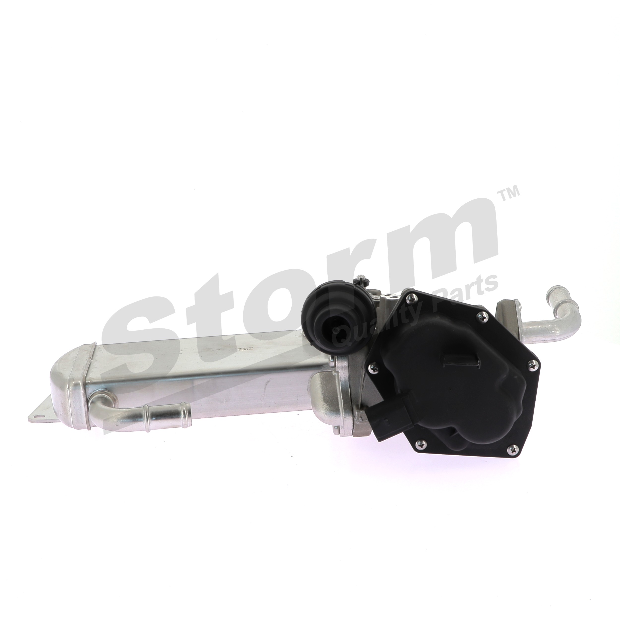 STORM QUALITY PARTS 9091: AGR-Ventil ohne Dichtungen