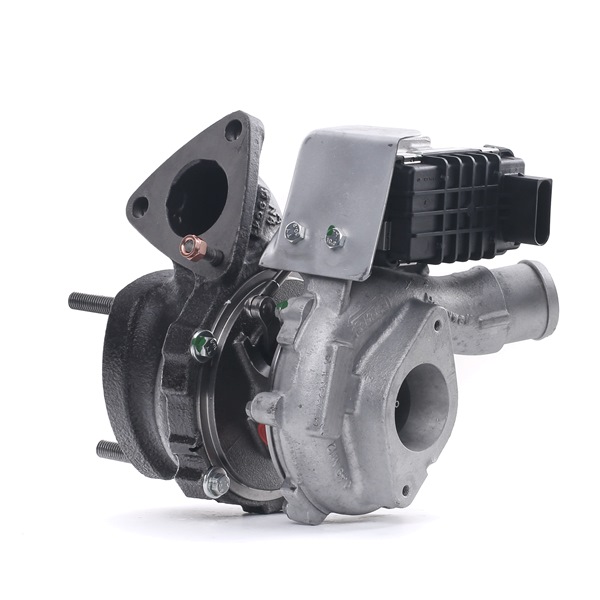 RIDEX REMAN 2234C0213R: Turbocharger Met pakkingen
