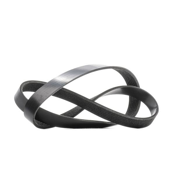 RIDEX 305P0562: Curea transmisie cu caneluri 1240,0mm, Numar nervuri: 7
