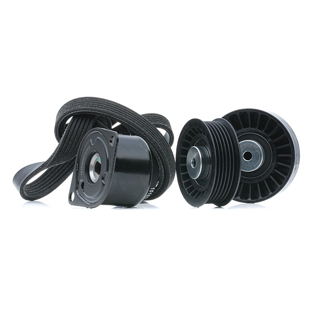 RIDEX 542R0730 Poly V-riem set VOLKSWAGEN Transporter 4 (70E, 70L, 70M, 7DE, 7DL) 110 Pk Benzine kosten