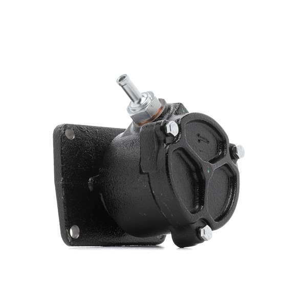 RIDEX 387V0114: Pompa vacum