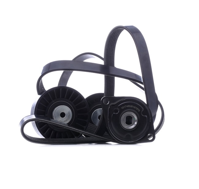 RIDEX 542R0737 Poly V-riem set VOLKSWAGEN Transporter 4 (70E, 70L, 70M, 7DE, 7DL) 88 Pk Diesel kosten