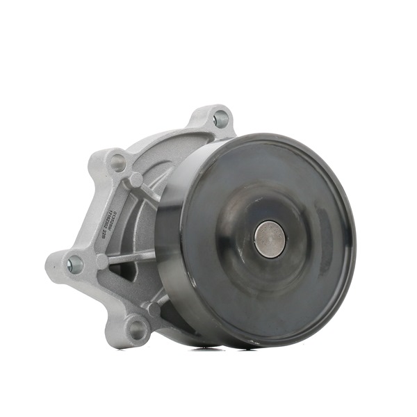 STARK SKWP-0520549: Vattenpump