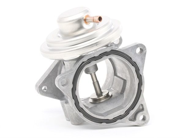 WAHLER 7496D: EGR klep Met pakkingen