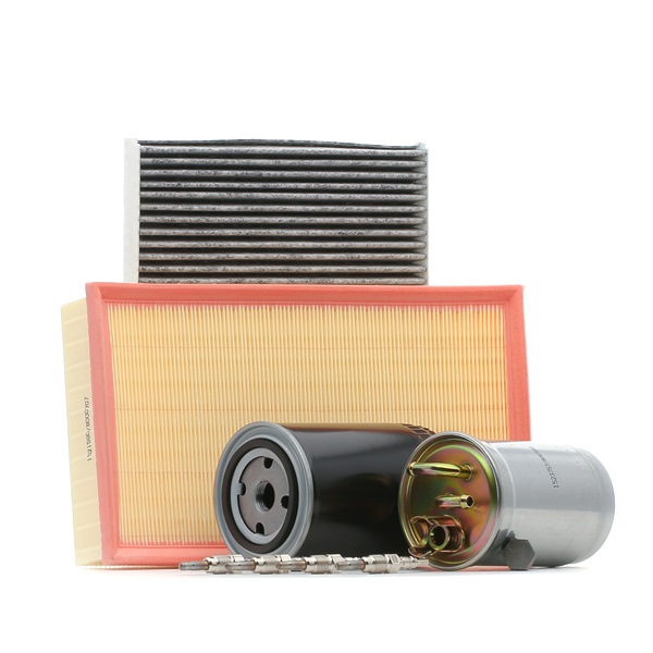 RIDEX 4682P16393: Alkarséz készlet, felülvizsgálat