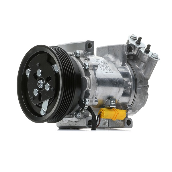 DELPHI CS20651 Compressore aria condizionata RENAULT MODUS / GRAND MODUS (F/JP0_) 75 CV Benzina/Gasauto (GPL) costo