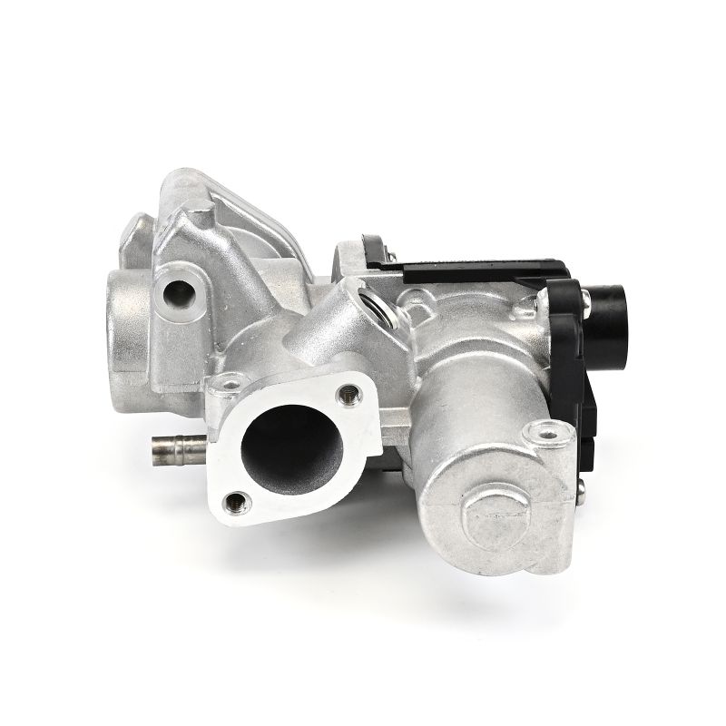DELPHI EG10509-12B1: EGR-klapp ilma EGR- jahutita