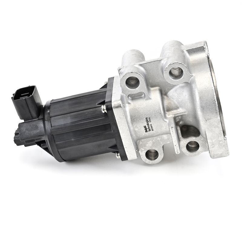 DELPHI EG10510-12B1: EGR klep