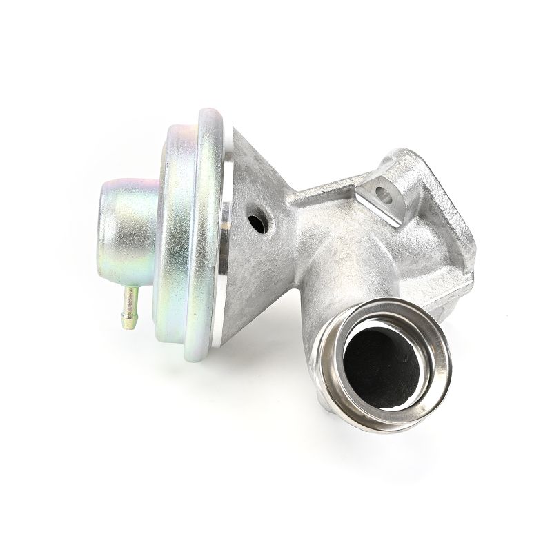 DELPHI EG10523-12B1: EGR klep Zonder AGR koeler