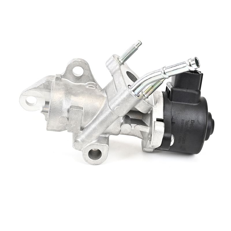 DELPHI EG10533-12B1: EGR-klapp