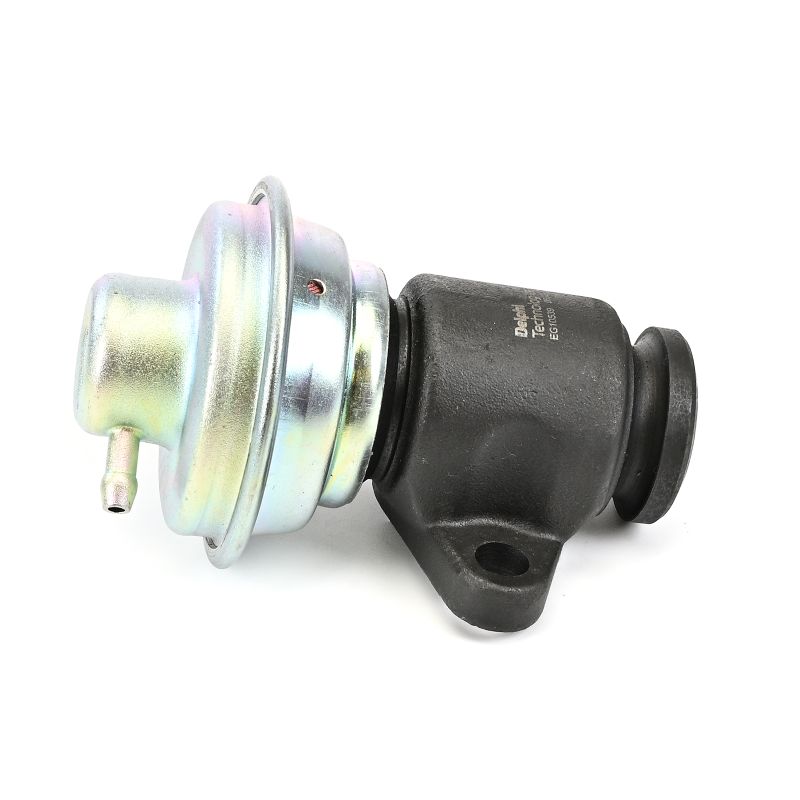 DELPHI EG10539-12B1: Válvula EGR sin radiator EGR