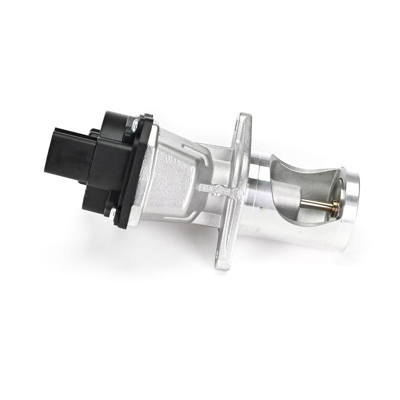 DELPHI EG10547-12B1: EGR-klapp ilma EGR- jahutita