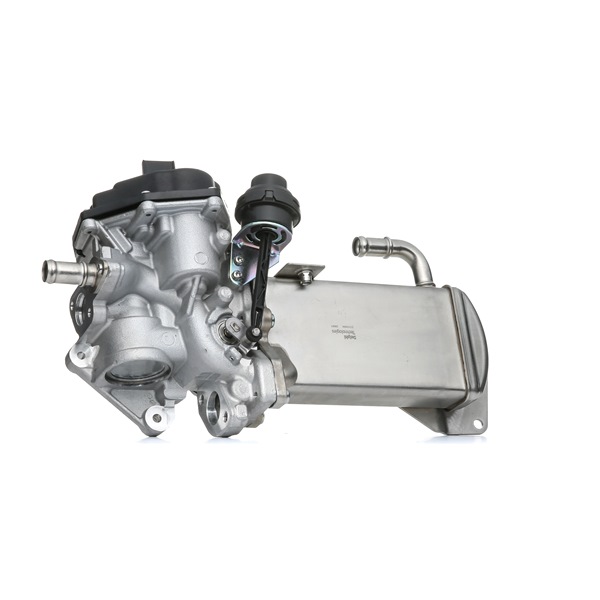 DELPHI EG10584-12B1: EGR klep Met AGR koeler