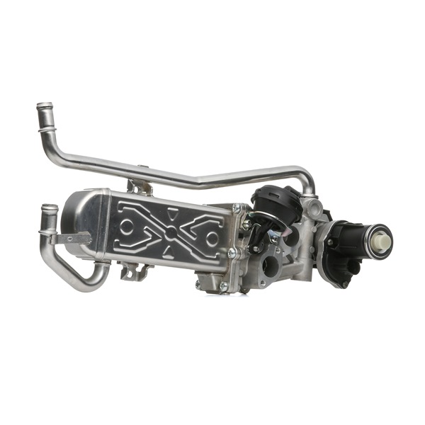 DELPHI EG10589-12B1 Βαλβίδα AGR SEAT Toledo 4 (KG3) 90 PS Πετρέλαιο κόστος