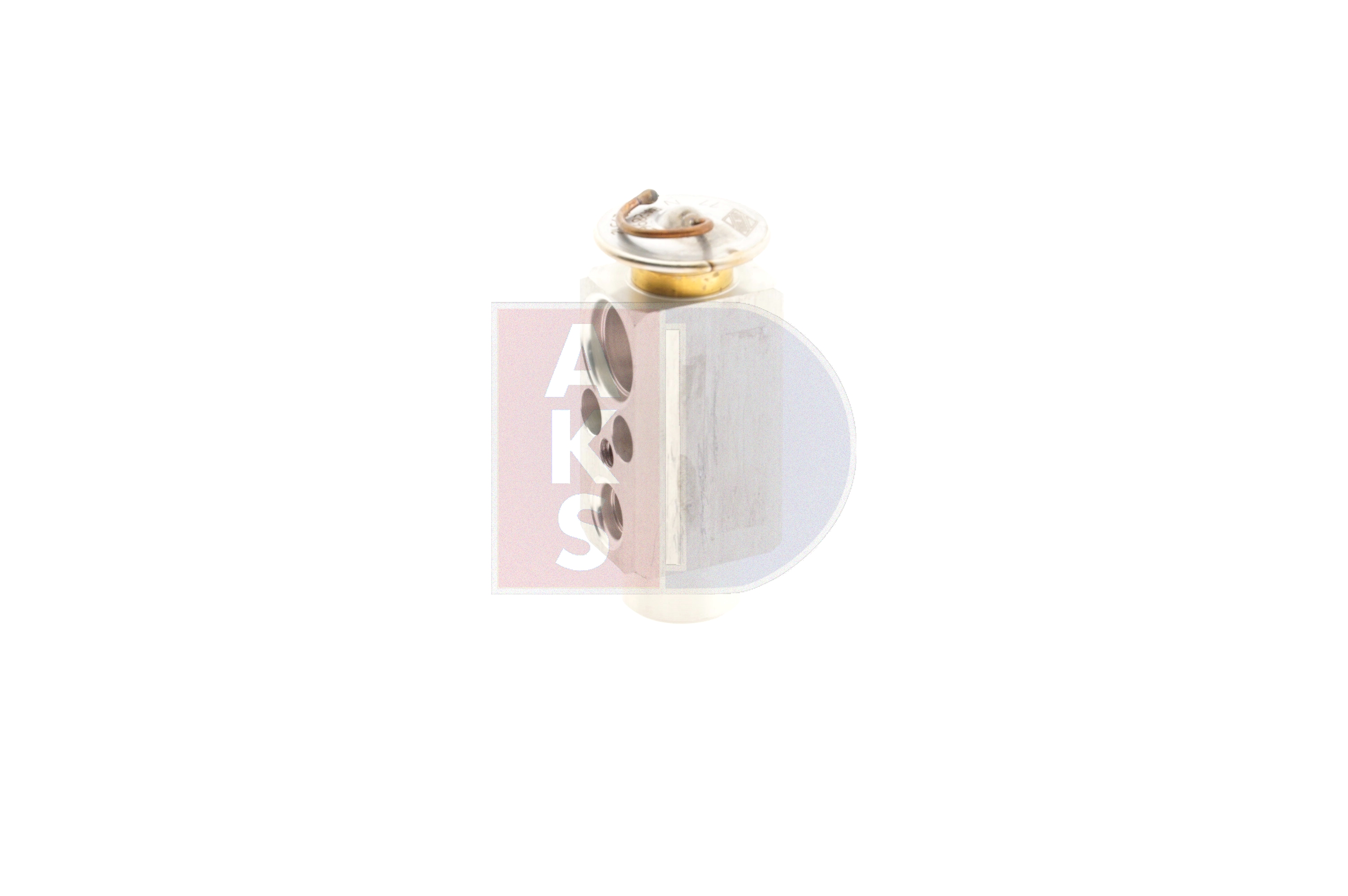 AKS DASIS 840310N: Supapa expansiune, clima