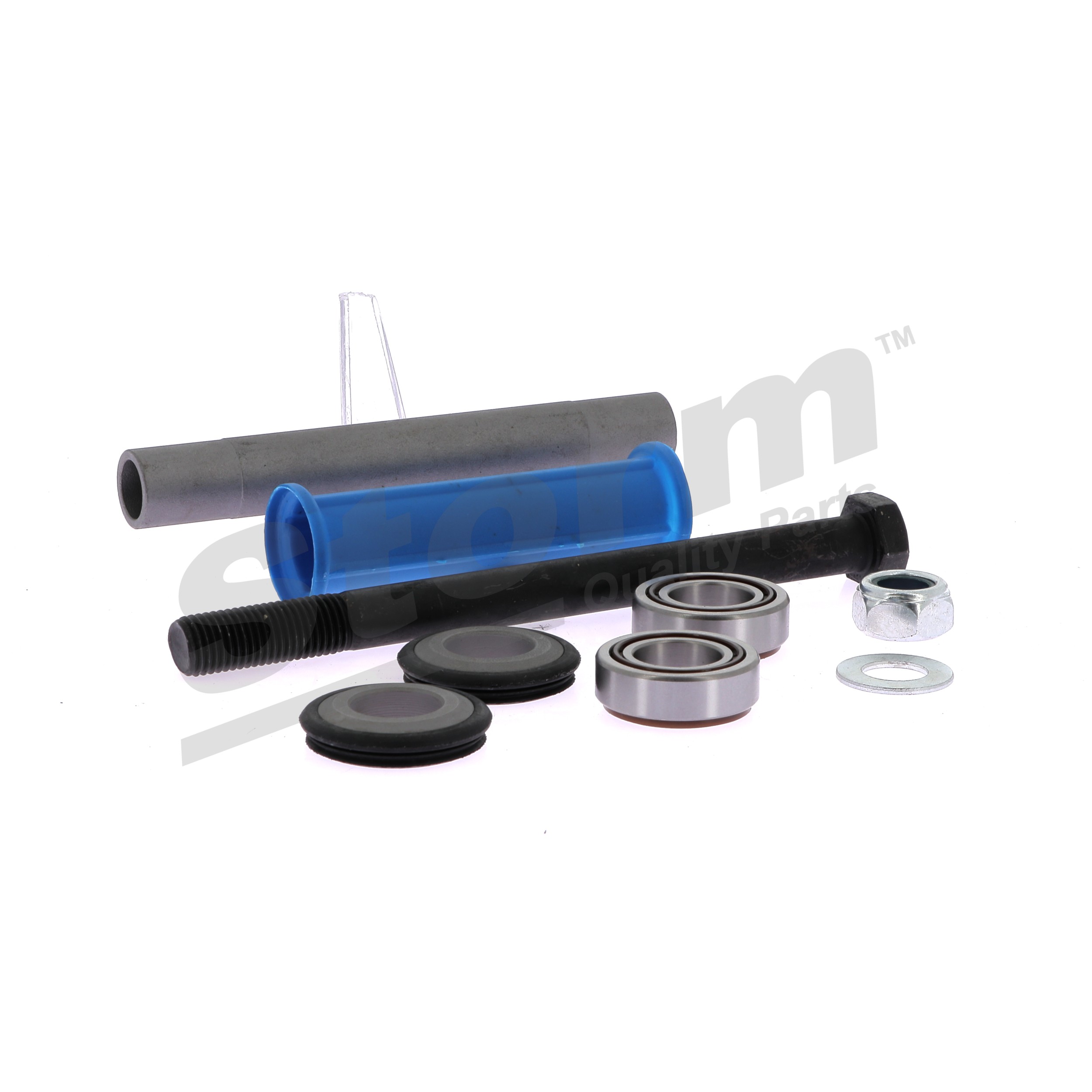 STORM QUALITY PARTS F2220: Lagerung, Lenker hinten, beidseitig