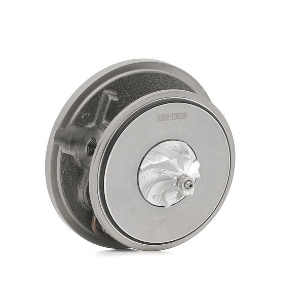 RIDEX 4973C0255: Conjunto piezas turbocompresor con junta