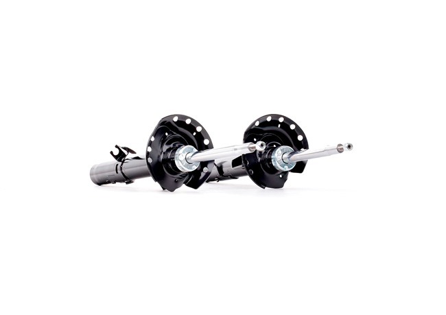 RIDEX 854S18195: Amortisseur Essieu avant, Pression de gaz, Jambe de suspension