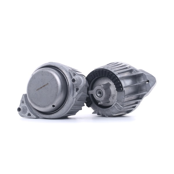 RIDEX 247E0796 Suport motor MERCEDES-BENZ Clasa E Sedan (W212) 197 CP motor diesel cat costa
