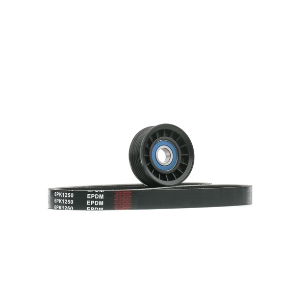 RIDEX 542R0798: Moniurahihnasarja