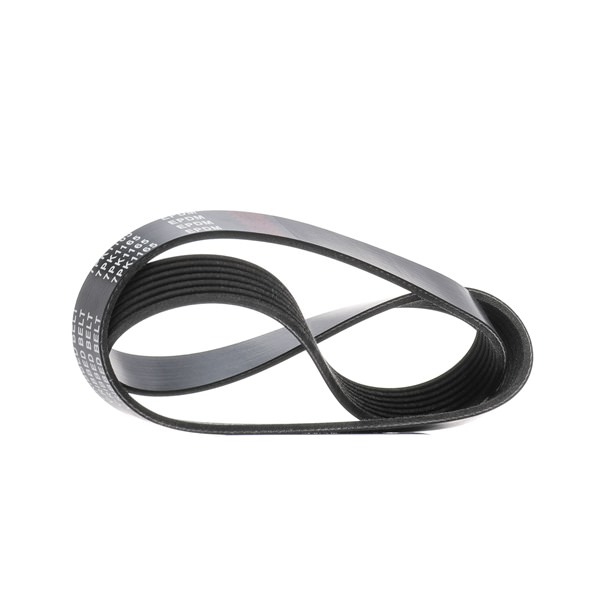 RIDEX 305P0571: Keilrippenriemen 1165mm, Rippenanzahl: 7