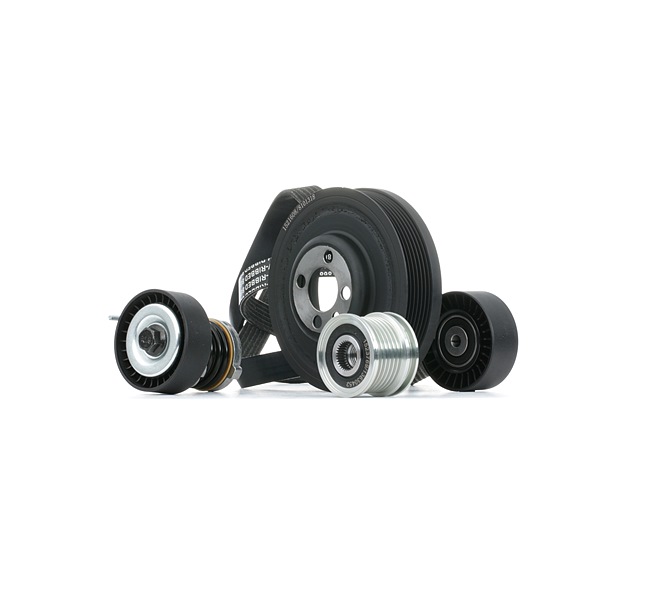 RIDEX 542R0849 Σετ ιμάντων poly-V AUDI A4 Avant (8K5, B8) 120 PS Πετρέλαιο κόστος