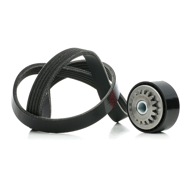 RIDEX 542R0855 Poly V-riem set RENAULT TWINGO 1 (C06) 58 Pk Benzine kosten