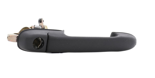 RIDEX 1373D0427 Pega de porta FIAT BRAVO 1 (182) 105 cv Diesel custo